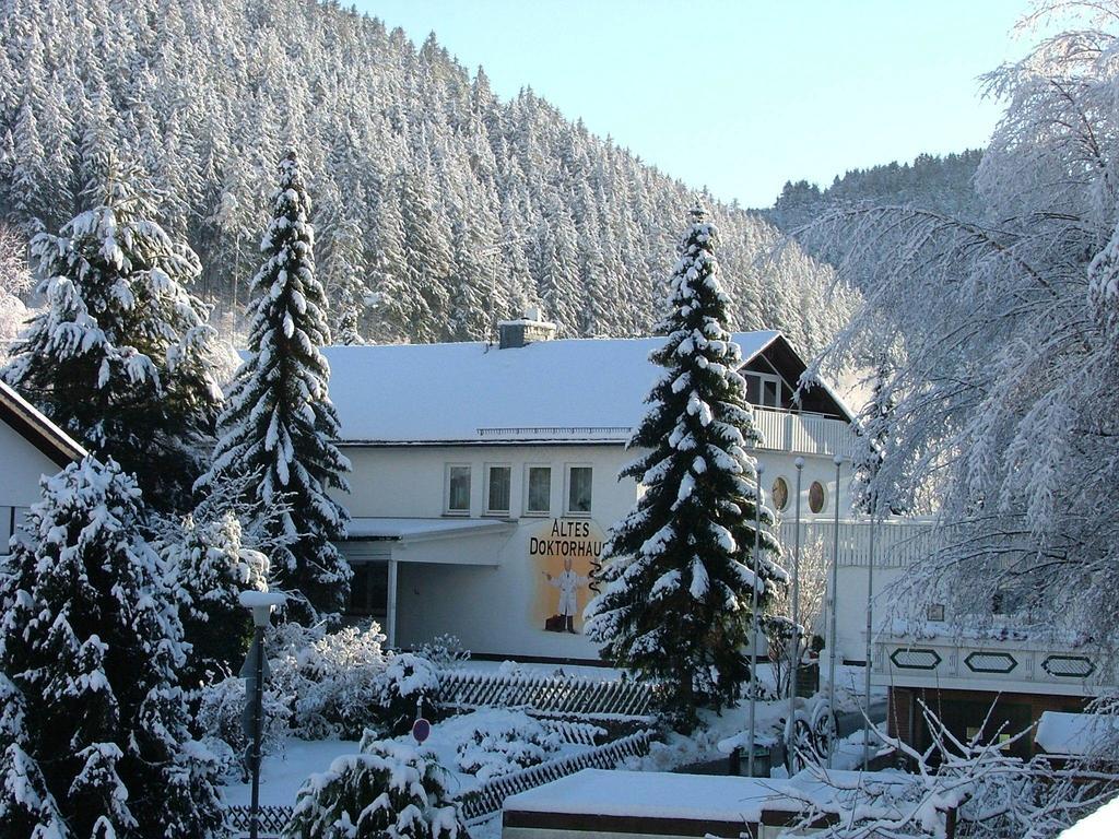 Altes Doktorhaus - Hotel Garni Willingen  Bagian luar foto